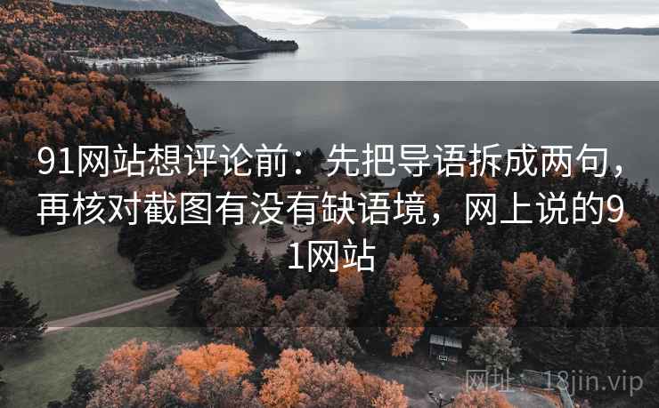 91网站想评论前：先把导语拆成两句，再核对截图有没有缺语境，网上说的91网站